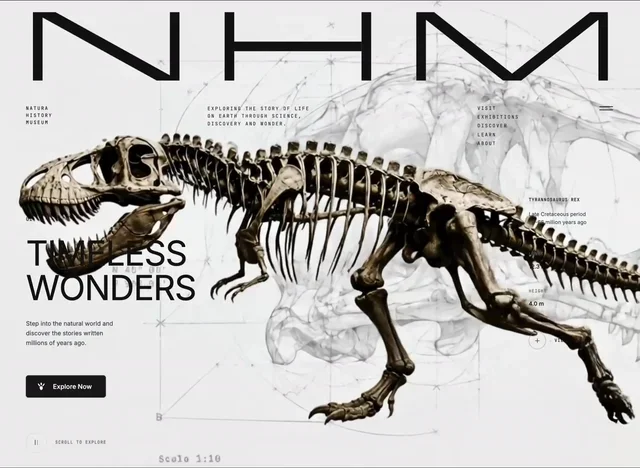 Neo Museum