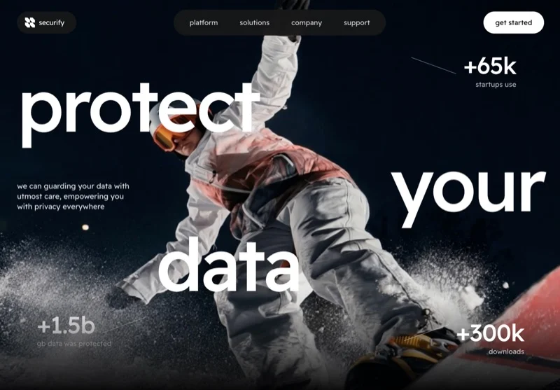Securify Data Security 封面