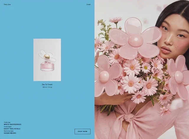 Daisy Sweet