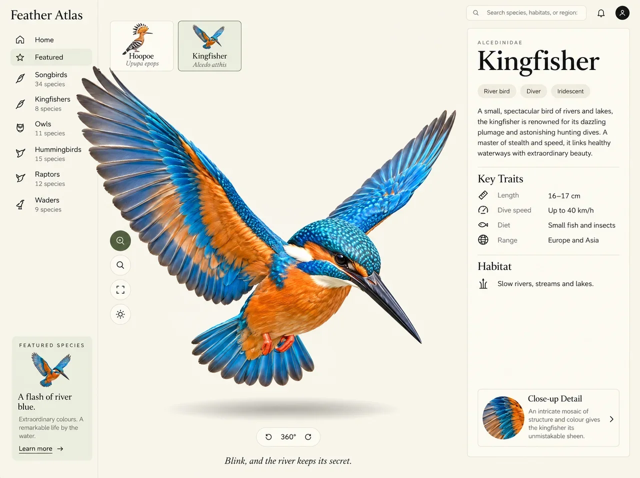 Feathers Atlas