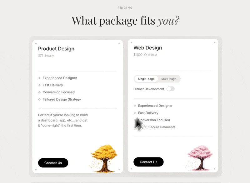 What Package Fits You
